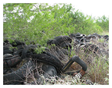 Environmental Site Assessment Services